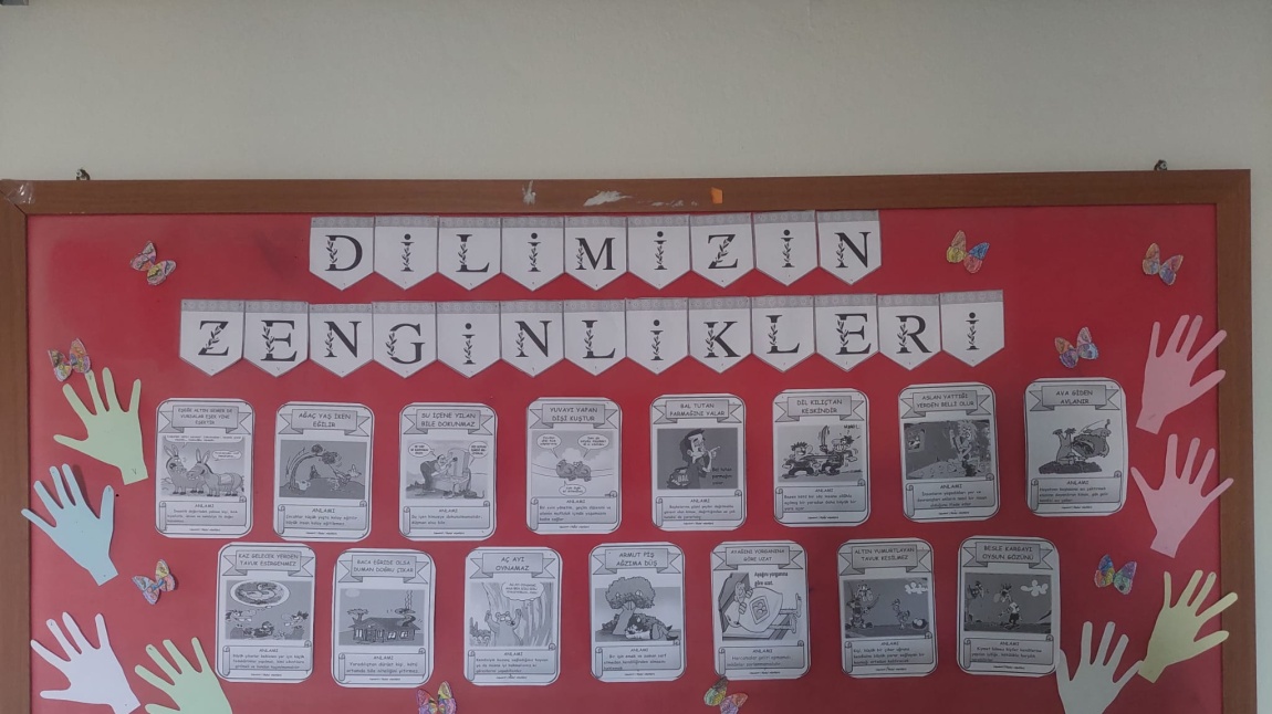 Dilimizin Zenginlikleri Projesi